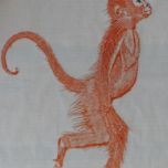 Affe 2012 Oel auf Chinapapier 56x76cm.jpg
