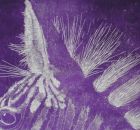 Zebra lila 2015 Oel auf Zeichenkarton 60x41cm.jpg