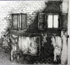 Sienafenster Ola Eibl 2005 Tusche auf Papier.JPG