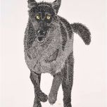 Wolf 2005 Oel auf Zeichenpapier 55x92cm.jpg