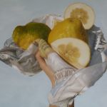 Cedriamoci! 2012, Alchidico, 80 x 60 cm.jpg