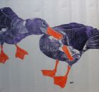 2 Albatrosse 2013 Oel auf Chinapapier 70x50cm.jpg