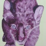 Junger Loewe 2013 Acryl auf Leinwand 60x80cm.jpg