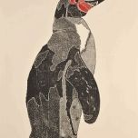 pinguin.jpg
