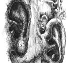 Gehörsinn Ola Eibl 2005 Tusche auf Papier.jpg