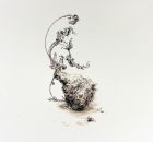 Kohlrabi 03 Ola Eibl 2015-18 Tusche auf Papier.jpg